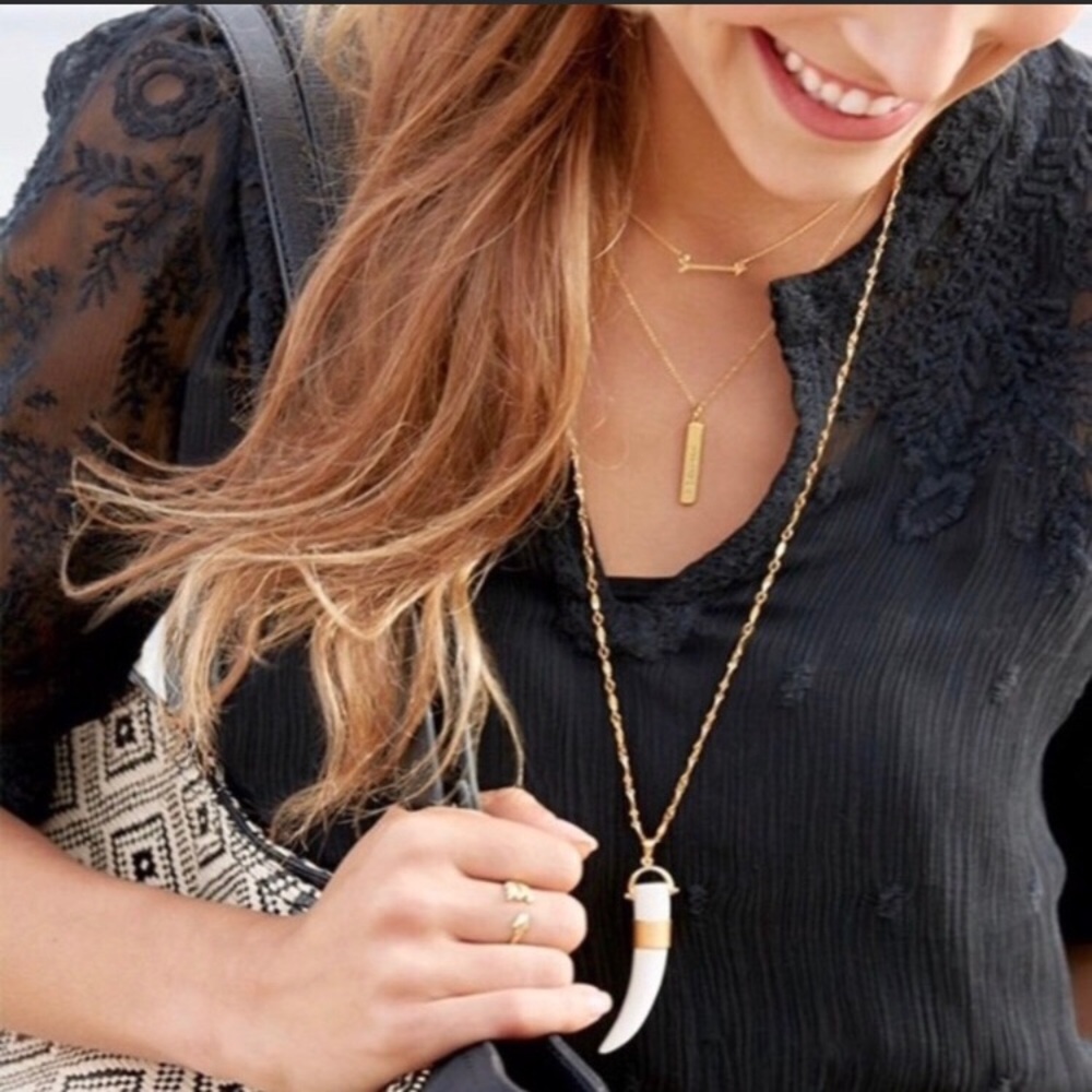 Stella & Dot Sahara Horn necklace